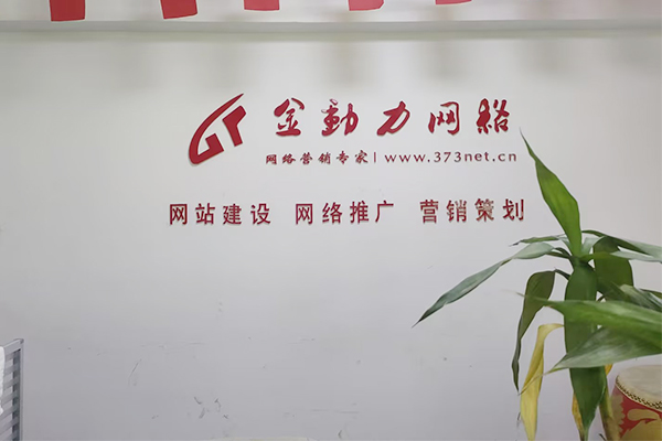 河南金動力網(wǎng)絡(luò)推廣公司2025年比較好多網(wǎng)絡(luò)推廣方式有哪些？